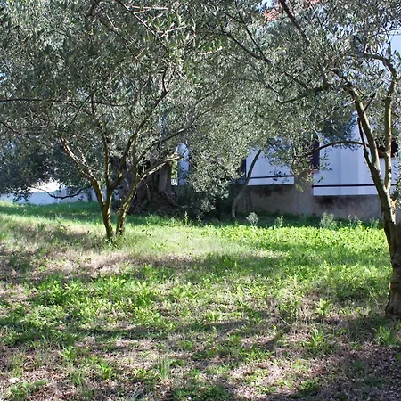 By The Sea Bibinje, Zadar - 5769 Apartman Bibinje